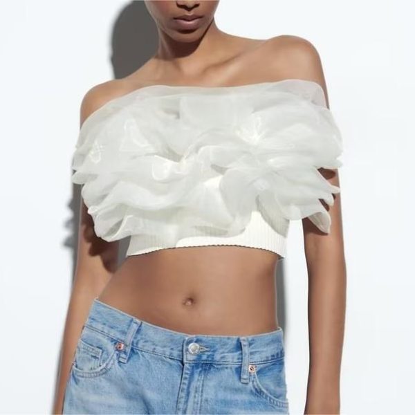 off the Shoulder Straight Collar Transparent Organza Laminated Decoration Rib Top