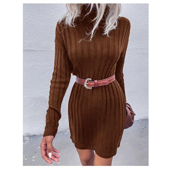 Sunken Stripe Turtleneck Sweater Dress for Winter Elegance